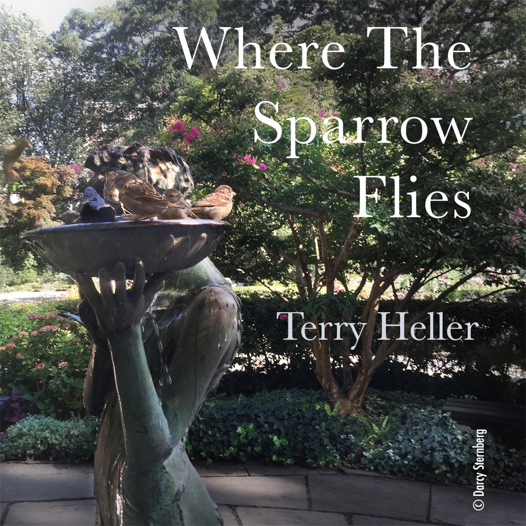 Where The Sparrow Flies